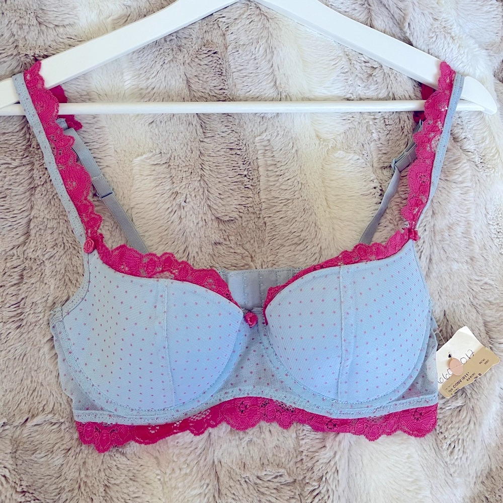 Baby Blue and Pink Bra 34B
